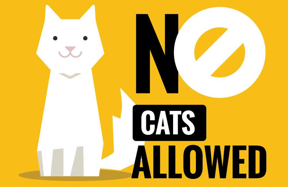 an image saying no cats allowed