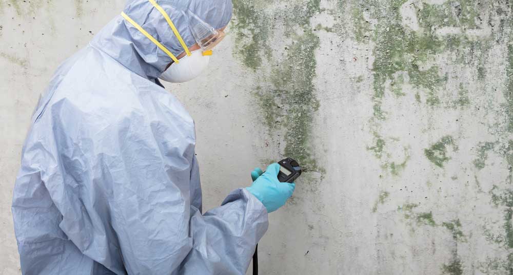someone in a body suit checking mould on a wall
