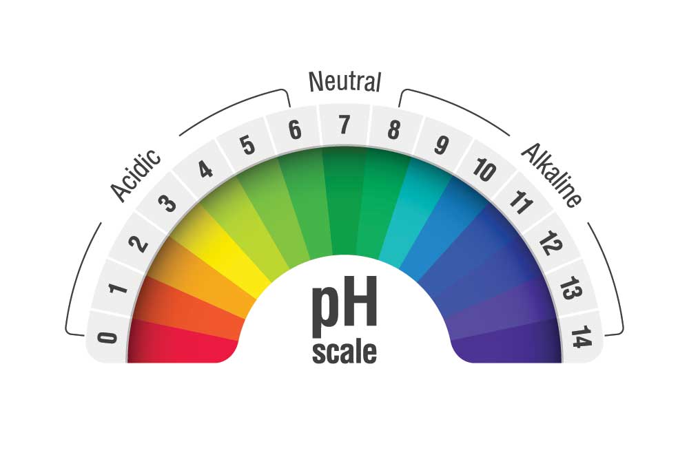 an image of a PH scale