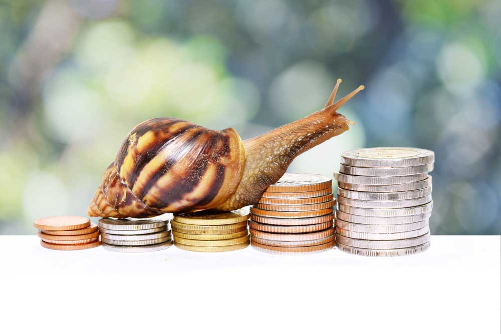 a snail climbing up stacks of coins